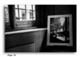FotoGallery in Evidenza